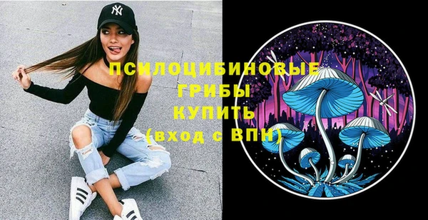 гашиш Дмитров