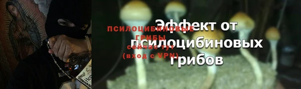 марихуана Дмитровск