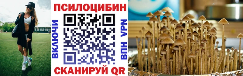 Галлюциногенные грибы Cubensis Рудня
